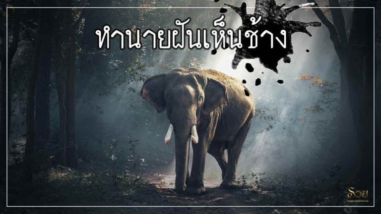 ฝันเห็นช้าง